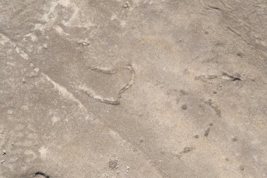 Sandy beach testure