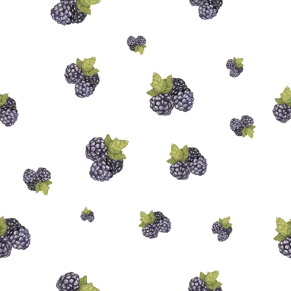 Watercolor hand drawn blackberry seamless pattern. Painted isolated bramble set illustration on white background. Violet dewberries with green leaves are drawn with watercolor.