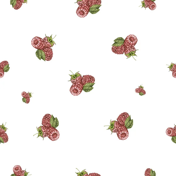 Watercolor hand drawn raspberry seamless pattern. Painted isolated raspberry set illustration on white background. Pink raspberries with green leaves are drawn with watercolor.