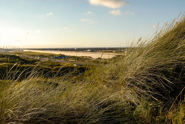 Çelik işleri mavi gökyüzünün altında bir yaz kentsel manzara. Fotoğraf bir yeşil yüksek çim tepeden, Ijmuiden, Hollanda vuruldu.