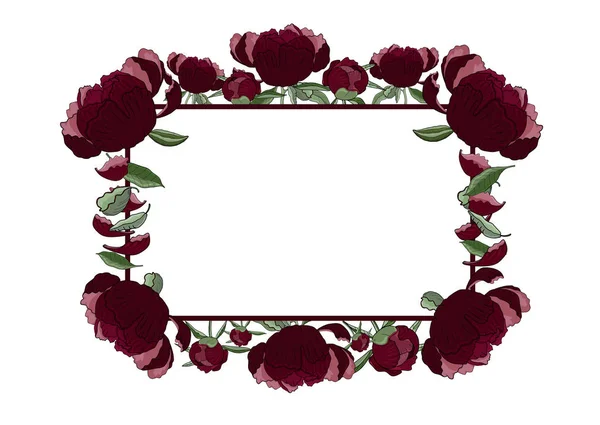 Cadre Rectangulaire Floral Fleurs Pivoines Rouge Foncé Bourgeons Feuilles Avec — Image vectorielle