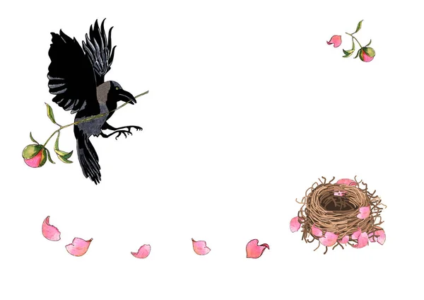 Ворона Летит Цветами Клюве Мать Птица Строит Гнездо Лепестков Пиона — стоковое фото