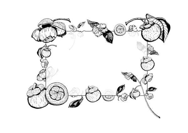 Illustration Vectorielle Cadre Verre Transparent Avec Des Fruits Des Fleurs — Image vectorielle