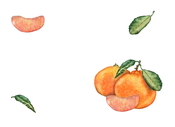 Akvarell Kézzel Rajzolt Tangerine Szelet Levelek Színes Friss Ízletes Mandarin — Stock Fotó