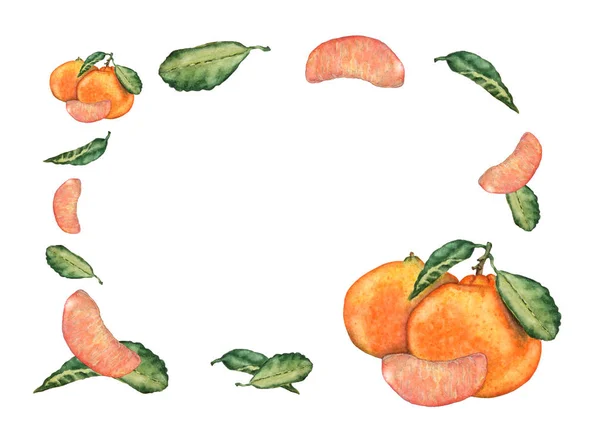 Akvarell Kézzel Rajzolt Mandarin Gyümölcsök Szelet Levelek Színes Édes Friss — Stock Fotó