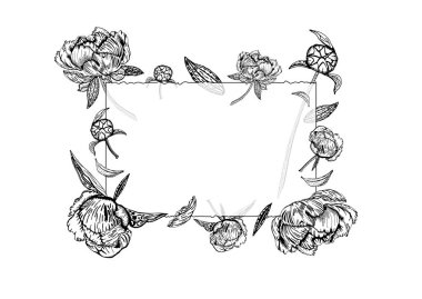 Vektör çizim şeffaf cam çerçeve ile Şakayık çiçekleri, tomurcukları, siyah ve beyaz renklerde kalkıyor.
