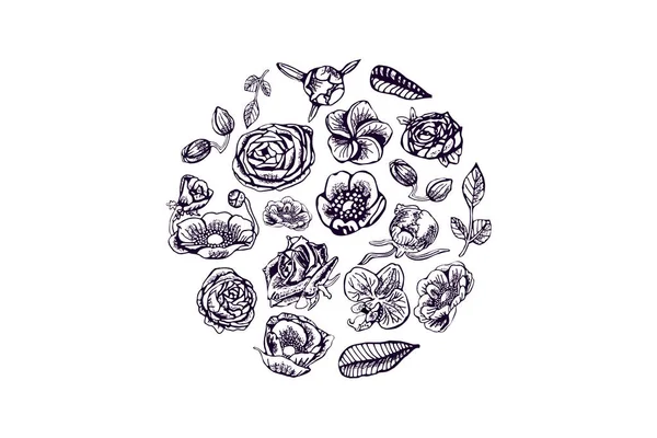Mooie bloemen, knoppen, bladeren elementen in cirkel, met de hand getekend. — Stockvector