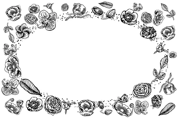 Cadre vintage de pivoine, rose, ranunculus, orchidée, anémone, plumeria flora, dessiné à la main, en noir et blanc . — Image vectorielle
