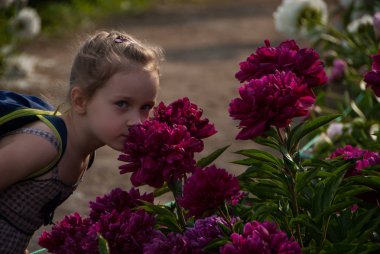 Pa içinde şakayık çiçekler imal güzel gözleri ile küçük güzel kız