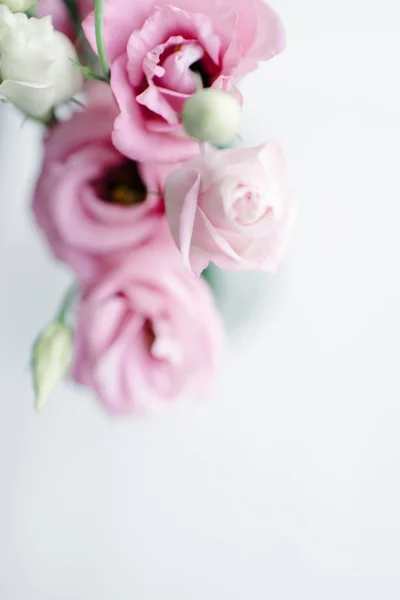 Erröten Rosa Mini Gartenrosen Auf Hellem Hintergrund — Stockfoto