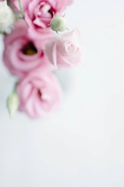 Erröten Rosa Mini Gartenrosen Auf Hellem Hintergrund — Stockfoto