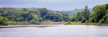 Yaz manzara nehir ve orman mesafe ile. Sessiz sakin sabah göl kıyısında
