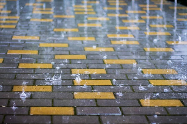 Rain City Wet Paving Tiles Rainy Weather Splashes Rain — Stock Photo, Image