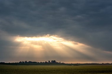 Işık ışınları kalın bulutların arasından güneş yükseliş sırasında nüfuz. Peyzaj: Alan ve dramatik karanlık gökyüzü günbatımı sırasında