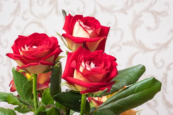 Rosas Vermelhas Quarto Fundo Embaçado Flores Para Saudações Decorações Dos — Fotografia de Stock
