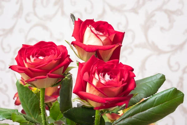 Rosas Vermelhas Quarto Para Cumprimentos Com Umas Férias Buquê Flores — Fotografia de Stock