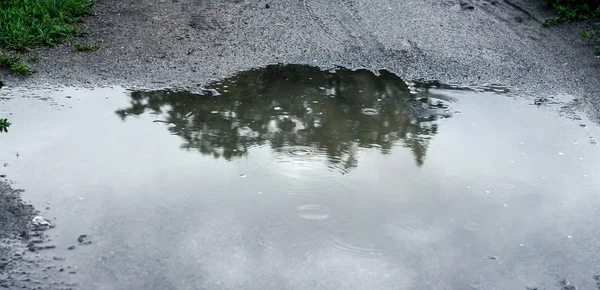 Pöl Mitten Vägen Regnet Med Reflektion Träden Spår Regn Vattnet — Stockfoto