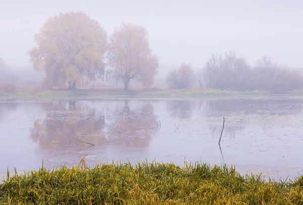 Autumn Landscape Overlooking River Early Fog River Fall — Stock Photo, Image