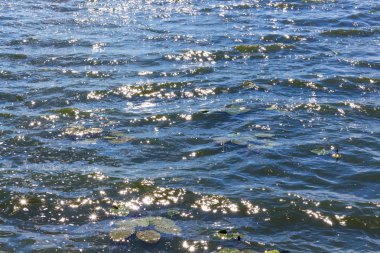 Dalgalar deniz güneş ışığı yansıması ile. Dalgalar doku