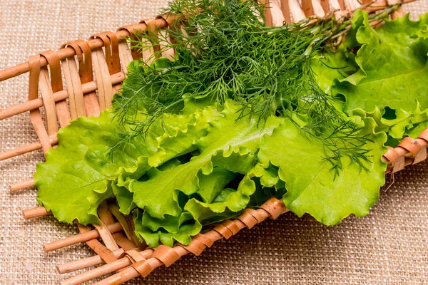 Lettuce and dill for delicious food. A good food with high content of vitamins. Food for vegetarians