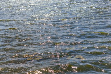 Su doku ile dalgalar rüzgarlı havalarda Nehri üzerinde