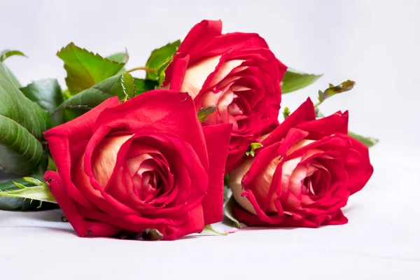 Buquê Rosas Vermelhas Para Cumprimentar Recém Casados Dia Casamento Presente — Fotografia de Stock