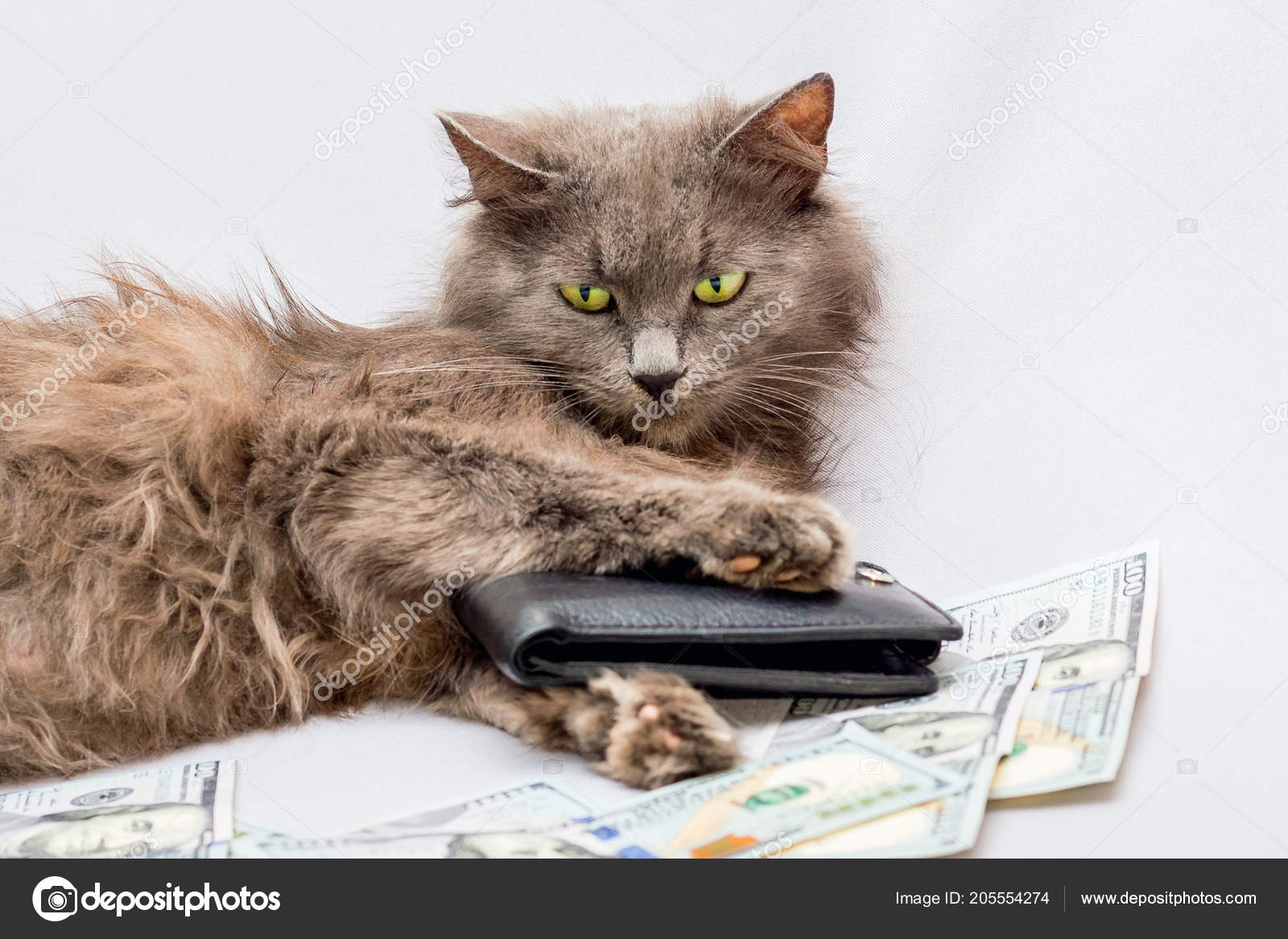 Pussy and money, primitive boy nude