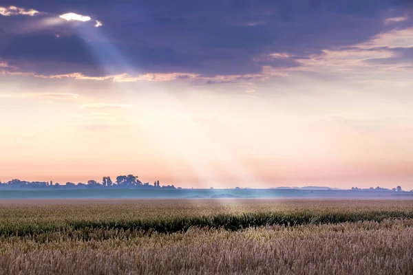 Paisaje Matutino Con Una Imagen Del Campo Las Nubes Rayo — Foto de Stock