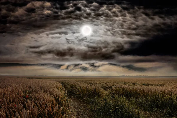 Księżycowa Noc Nad Pole Pszenicy Księżyc Jest Wśród Ciemne Chmury — Zdjęcie stockowe