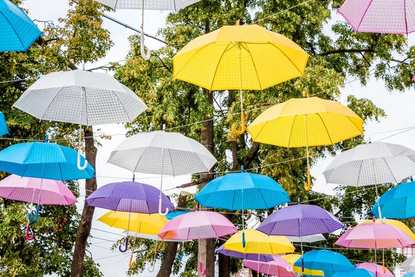 Multicolored umbrellas in the city park decorate the holiday