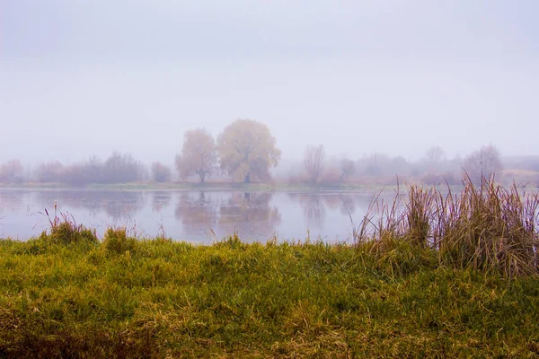 Misty Πρωί Στην Όχθη Του Ποταμού Δέντρα Αντικατοπτρίζονται Στο Ποτάμι — Φωτογραφία Αρχείου