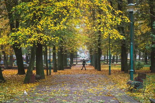 Őszi Városi Park Sárga Levelek Park Avenue Emberek Séta Parkban — Stock Fotó