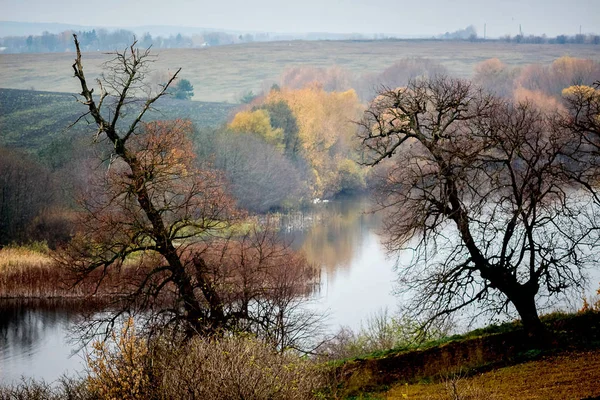 Suché Holé Stromy Pozadí Řeka Krajina Pozdní Podzim — Stock fotografie