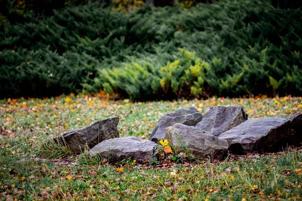 大きい花こう岩の石は 秋に都市公園を飾る 公園の芝生の上の黄色の葉 — ストック写真