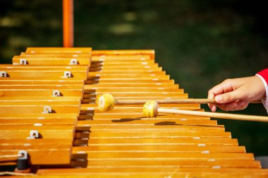 Müzisyen playson ksilofon üzerinde. Vurmalı çalgılar kullanarak konser