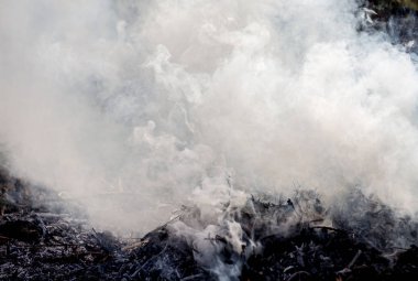 Yanan çöp üzerinden kalın duman. Doku duman. Çevre kirliliği