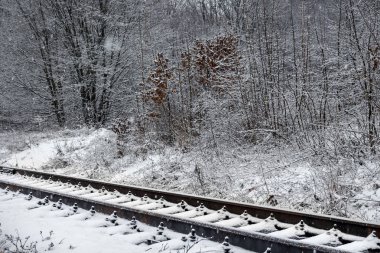 Kış manzarası, demiryolu parça iki tarafta - mesafe içine orman gider