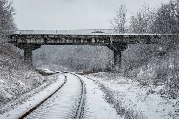 winter landscape, the railway track goes into the distance, on the sides - the forest