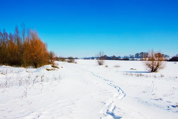 Caminho Campo Pisado Neve Dia Ensolarado Inverno — Fotografia de Stock