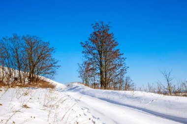 Yolun her iki tarafında karla kaplı düz, ağaçların kış yol