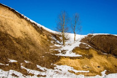 Dik bir yokuş kış mavi gökyüzünde arka planda. Uçurumun yakınındaki iki ağaç