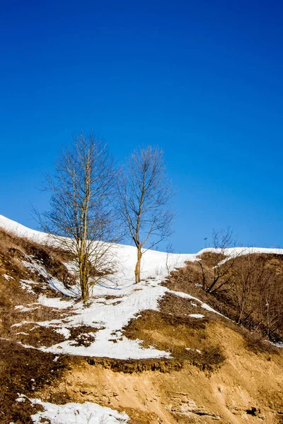 Zimní Krajina Dva Stromy Kopci Pokryté Sněhem Zimě — Stock fotografie