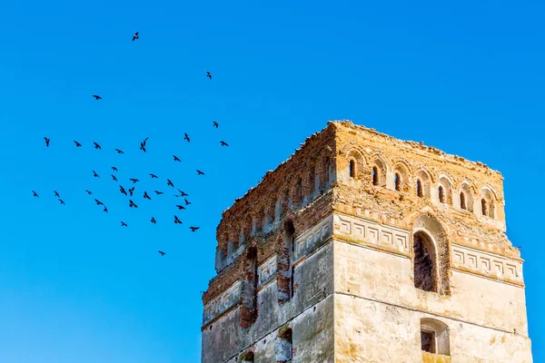 Tower of the ancient castle against the blue sky with birds