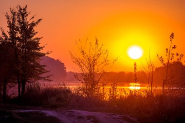 Günbatımı Nehri. Akşam Nehri yakınında ağaçlarının silhouettes