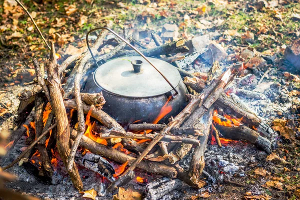 Cooking Pot Nature — Stock Photo, Image