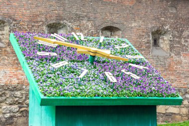 Tam olarak ne zaman çiçek saat Lviv gösterir