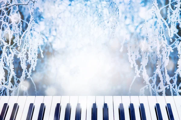 Klaviertasten Auf Dem Winterlichen Hintergrund Mit Birkenzweigen Die Mit Frost — Stockfoto