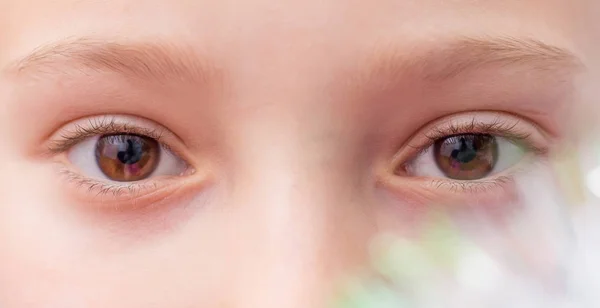 Zbliżenie Oczu Dziecka Pobliżu Choinki Ostrożnie Skoncentrowany Wygląd — Zdjęcie stockowe