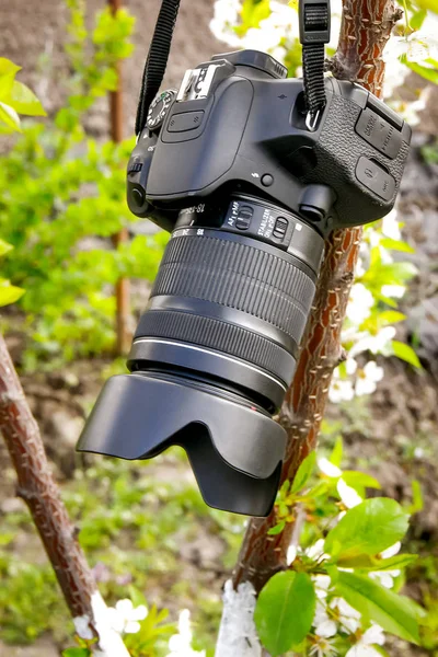 Una Cámara Profesional Cuelga Árbol Durante Una Pausa Entre Disparos —  Fotos de Stock