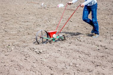 El ile bir mekanizmasını kullanarak topraktaki tohum tohum işlemi